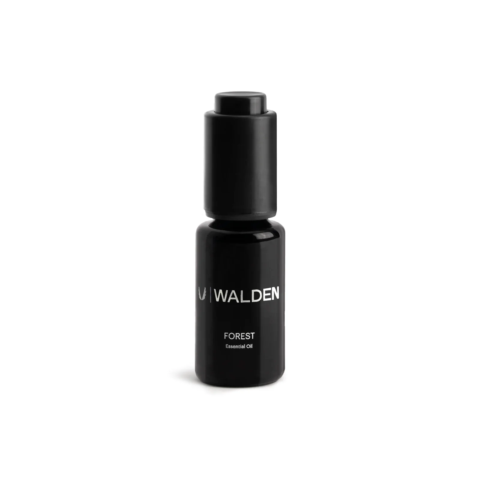 ASRV x Walden Essential Oil - Forest - Image 4